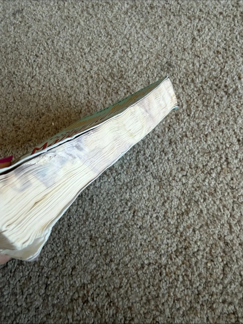 Margaritaville Paperback Book - Light Blue Cover